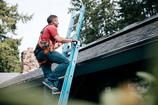 Best Steel Roofing  in USA